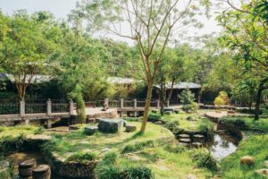 礁渓温泉公園―森林風呂