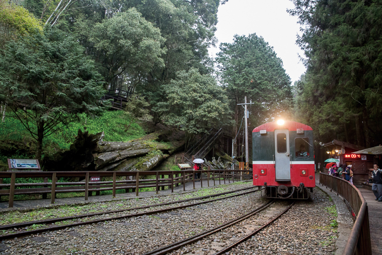 神木駅ホームわきの神木遺跡と列車