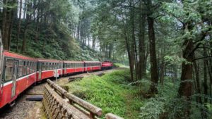 阿里山森林鉄道 ～台湾鉄道 途中下車の旅～