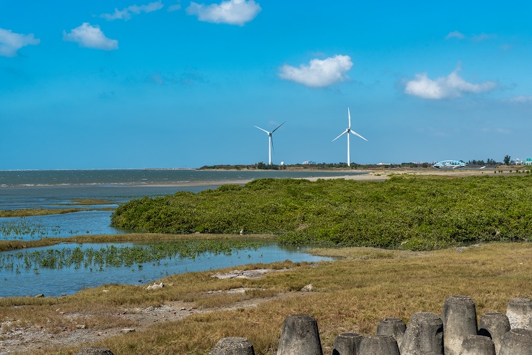 湿地と風力発電の風車