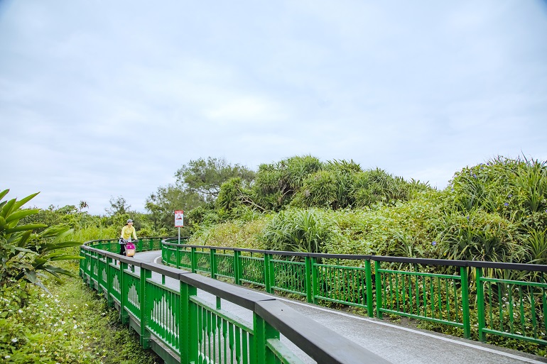 沿道は緑がいっぱい！ 濱海自転車道