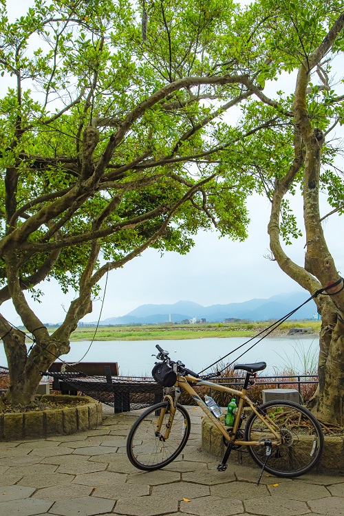 ハンモック製作には漁網修理の技法が用いられている 濱海自転車道