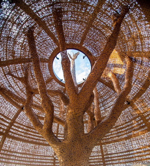 ドーム内に広がる向陽樹の枝
