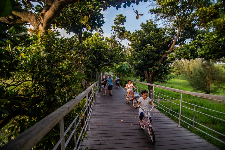 森林公園の自転車歩道