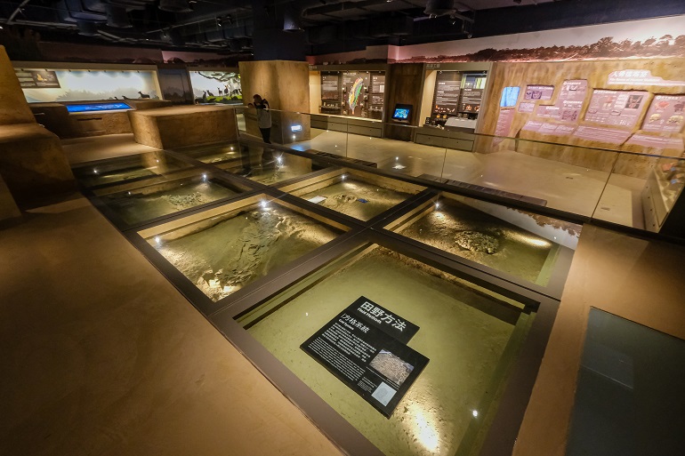 国立台湾史前文化博物館 南科考古館