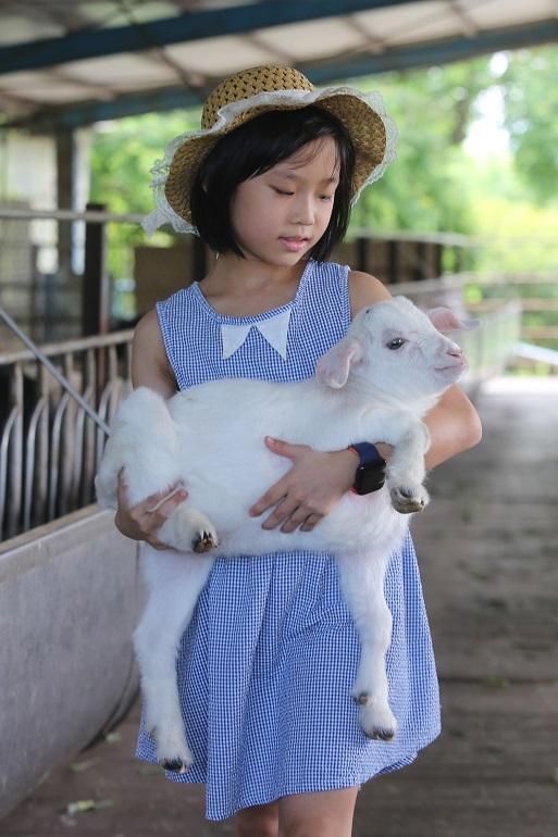 子ヤギ抱っこ体験