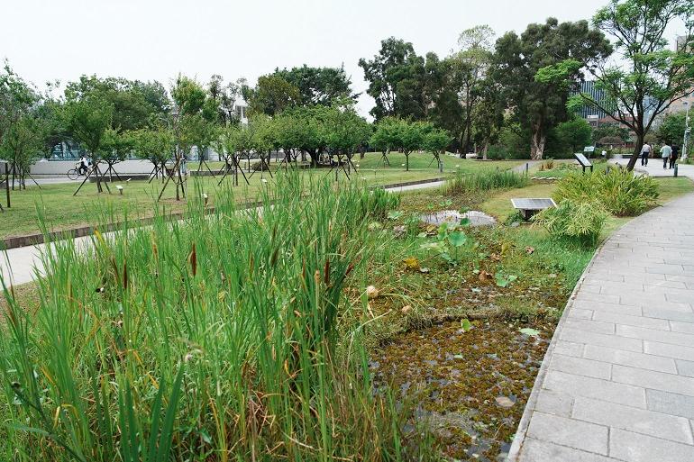 瑠公圳復元エリア