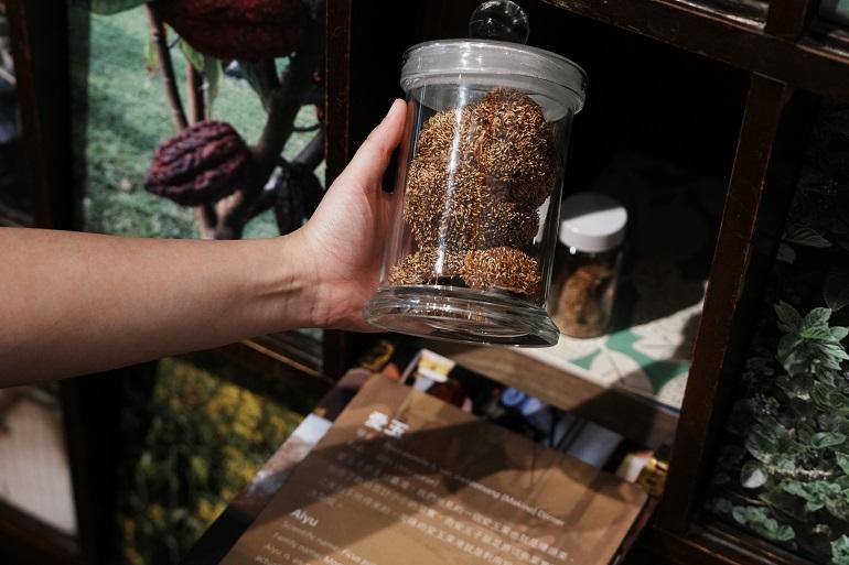 台湾大学 植物標本館 押し葉標本