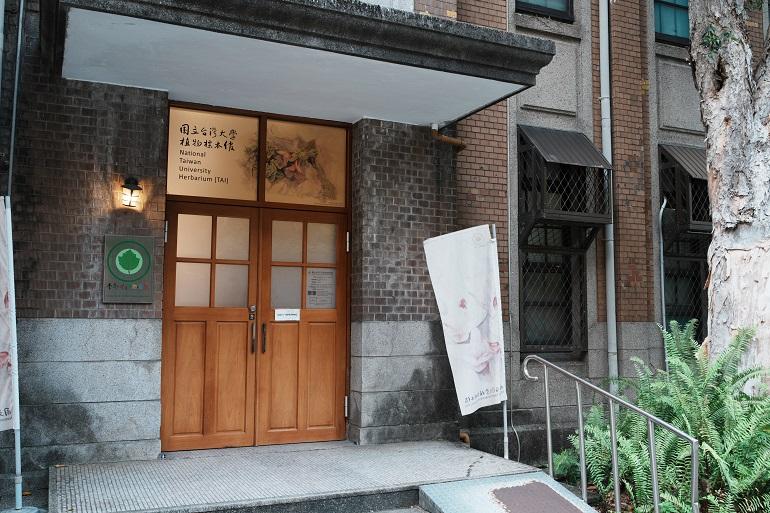 台湾大学　植物標本館　押し葉標本