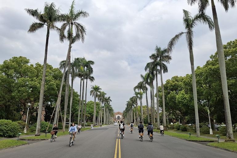 椰林大道　台湾大学