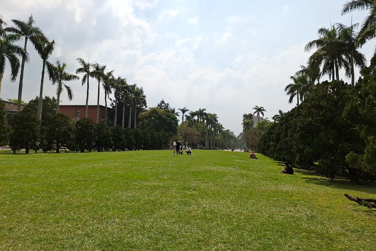 台湾大学　総図書館　芝生