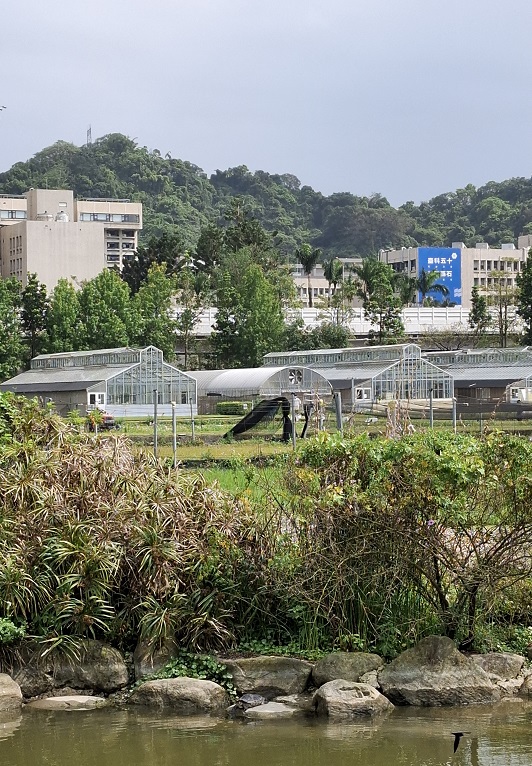 台大農場