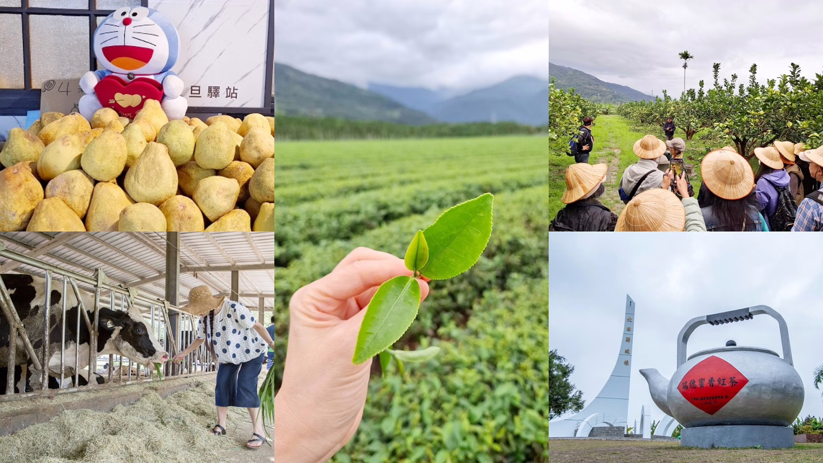 花蓮 瑞穂 花東縦谷で農業体験！